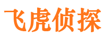 嵩县侦探公司